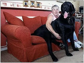 animales sorprendentes