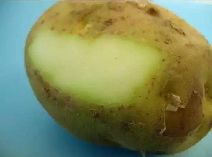 saludables