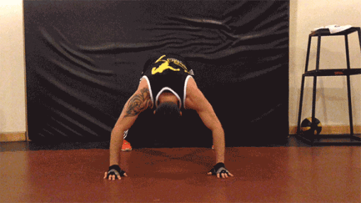 el gym el gym