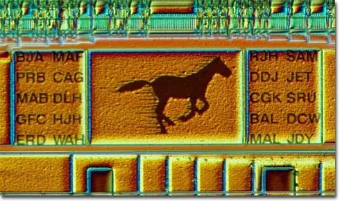 Lo que ocultan los chips, imagenes secretas en el silicio
