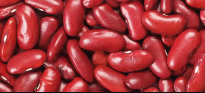 alimentos