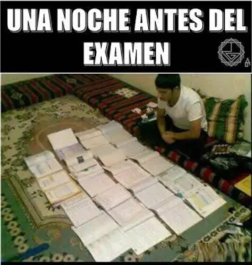 Humor para humanos (los reptilianos no entren)