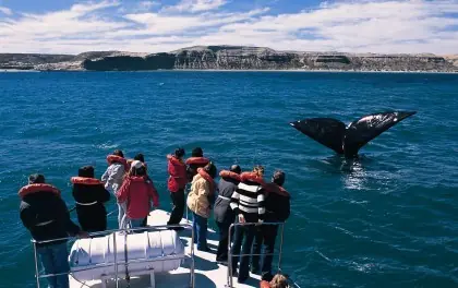 Con este lorca... Groenlandia!
