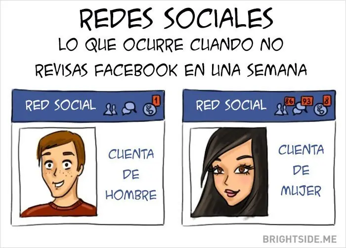 machismo vs feminismo