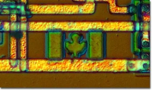 Lo que ocultan los chips, imagenes secretas en el silicio