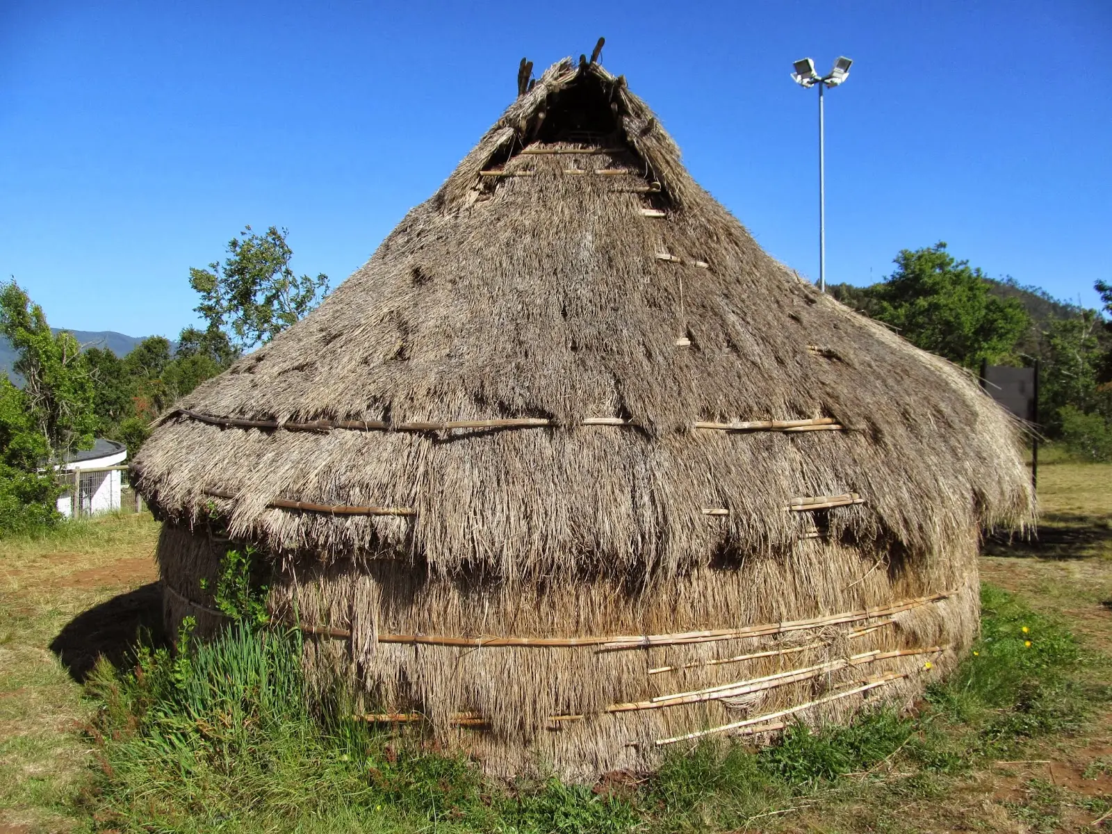paja