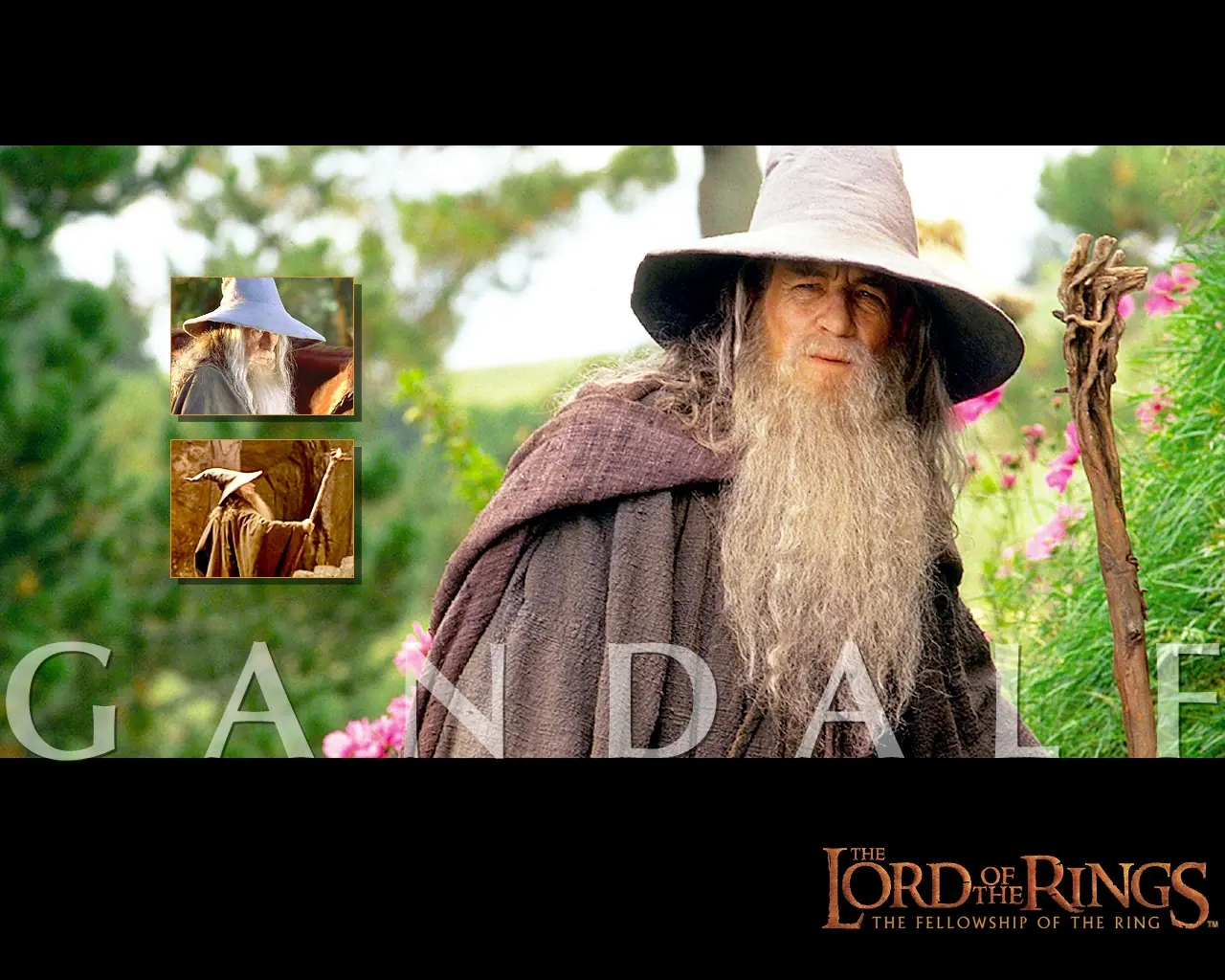 J.R.R Tolkien - Gandalf (historia)