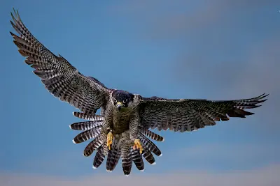 40 historias que cambiaran tu forma de Pensar