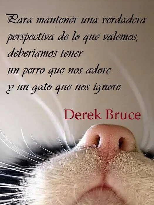 Humor Grafico