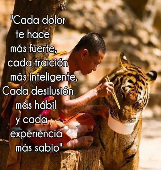 educacion