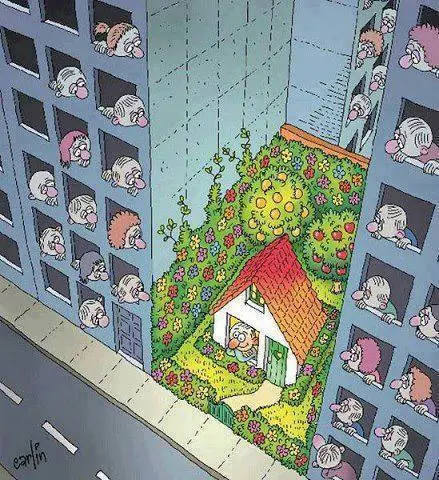 educacion