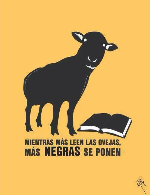 Humor Grafico