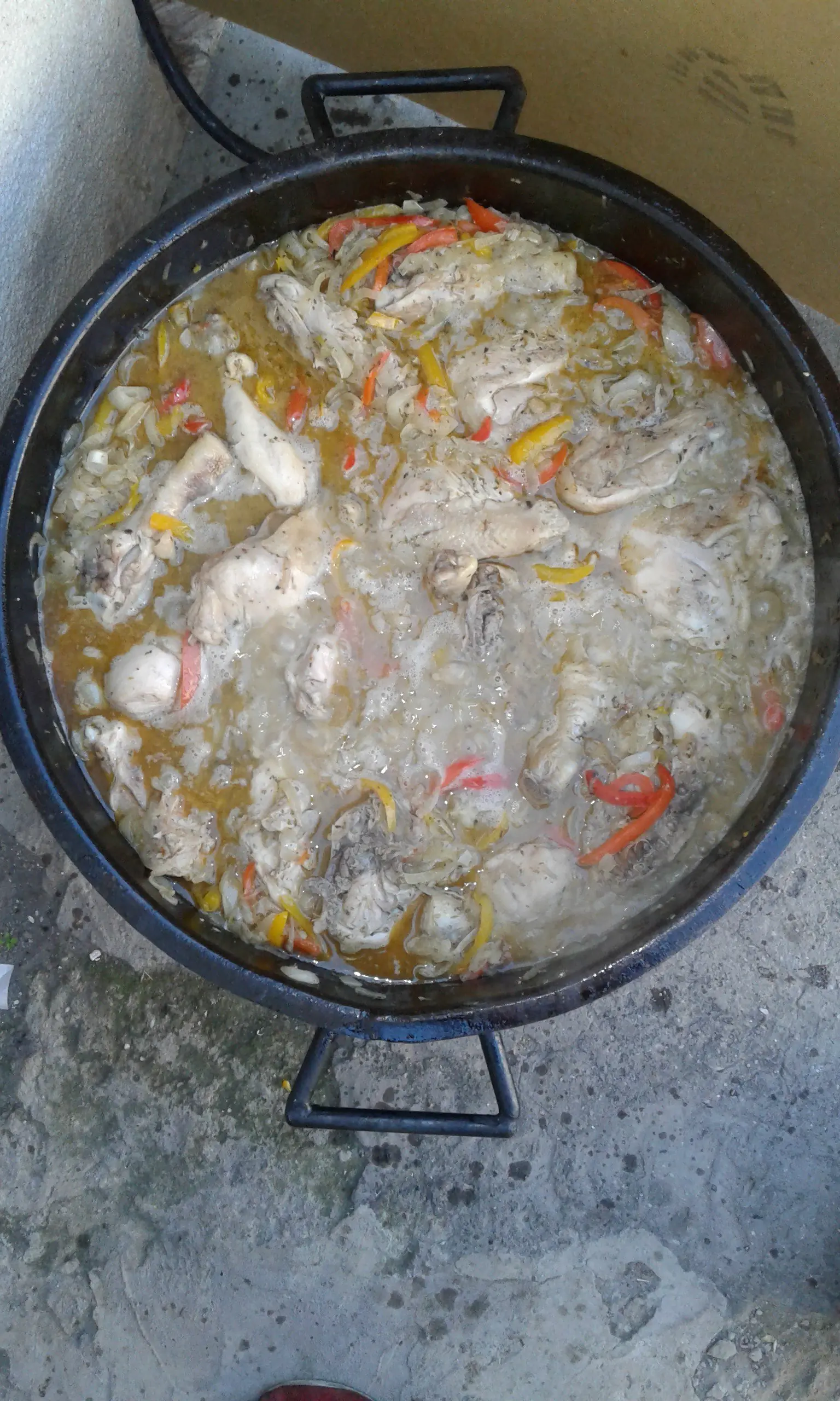 POLLO