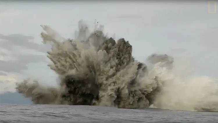 'Sharkcano': Tiburón morador de volcanes submarinos