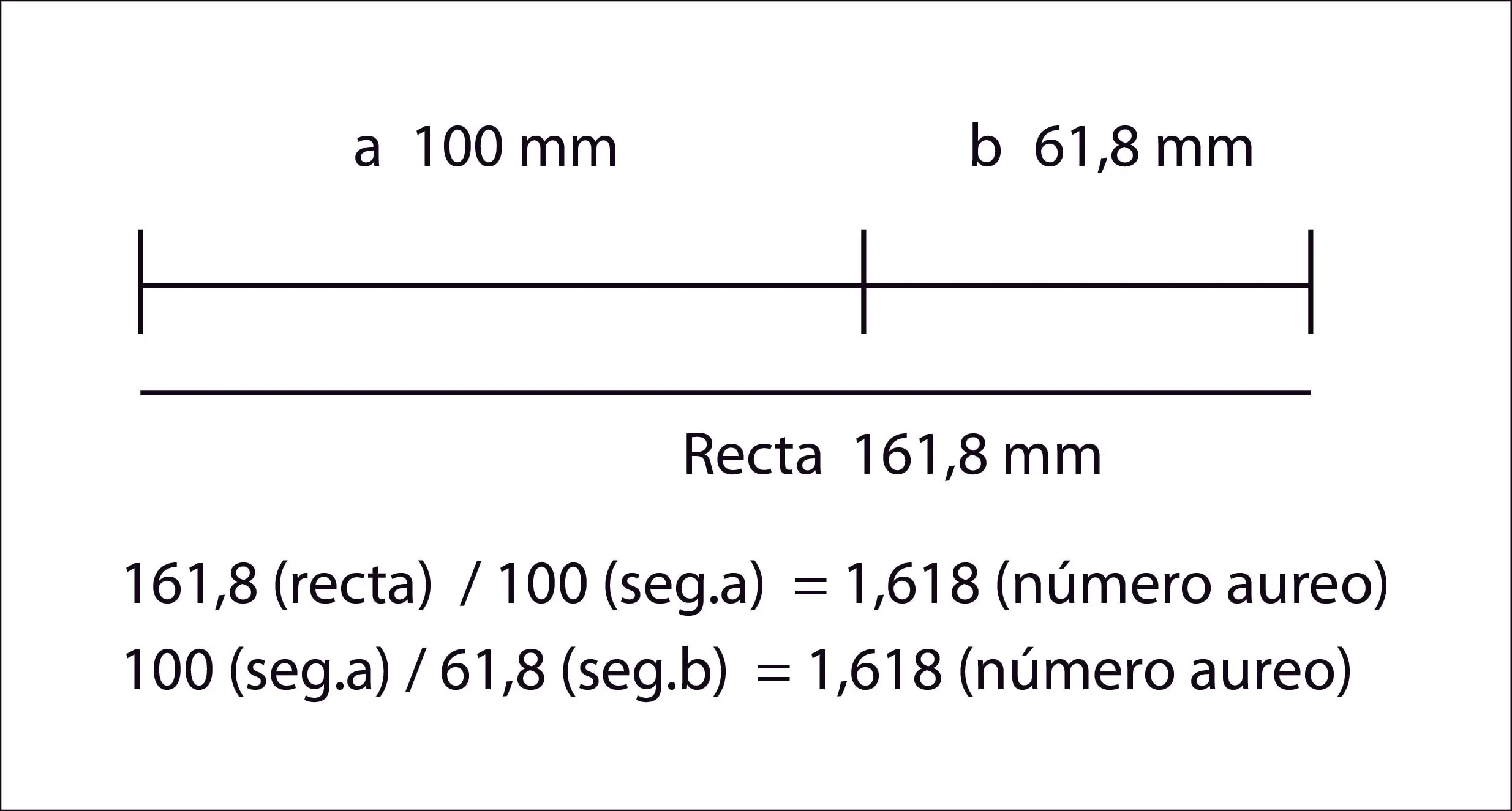 Proporción Aurea: la clave de la armonía