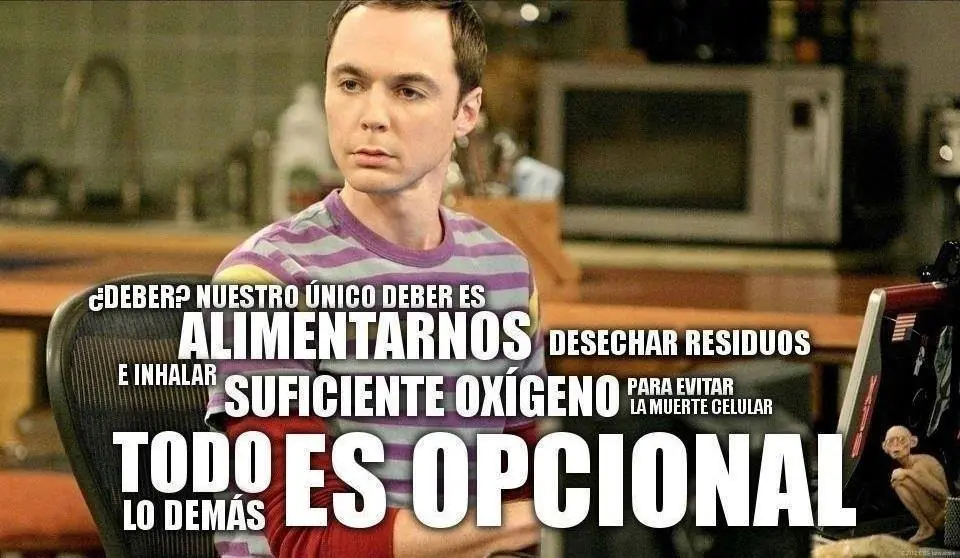 educacion