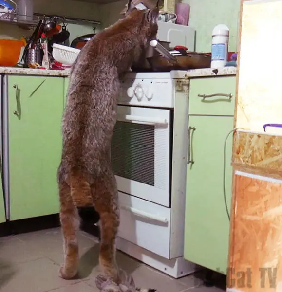 Fotos re locas que tenes que ver parte 192