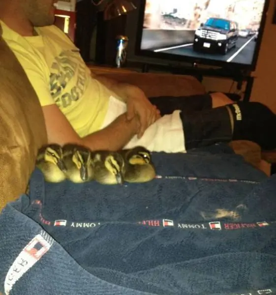 Fotos re locas que tenes que ver parte 192