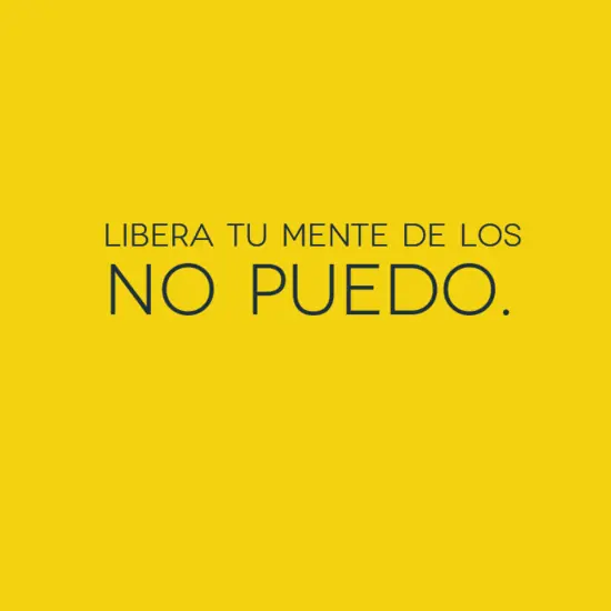 politica