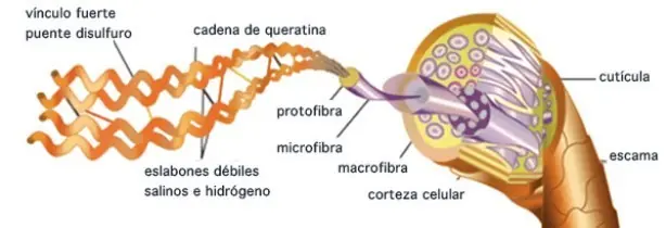 dejaban