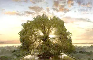 ¿ Que sucede cuando un cristiano muere?