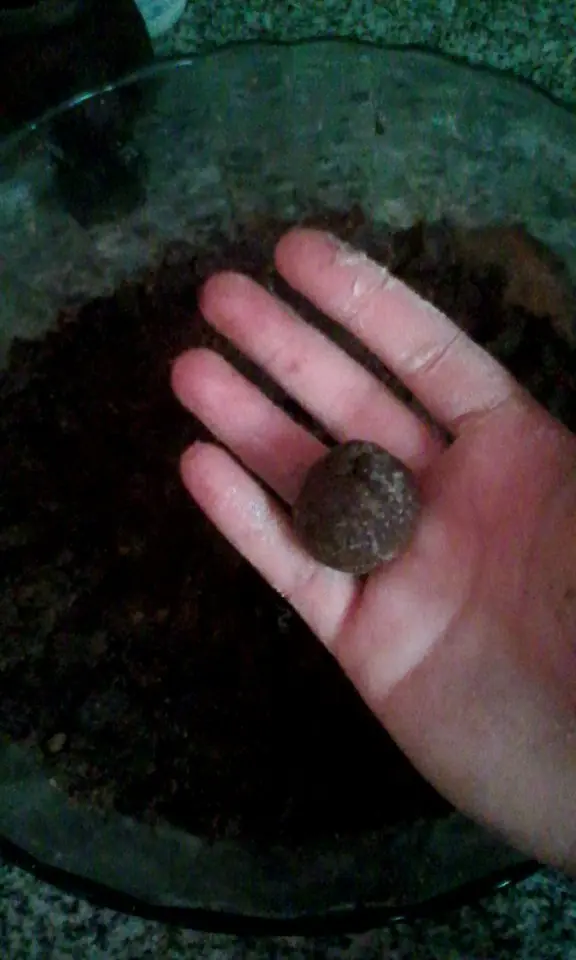 trufas