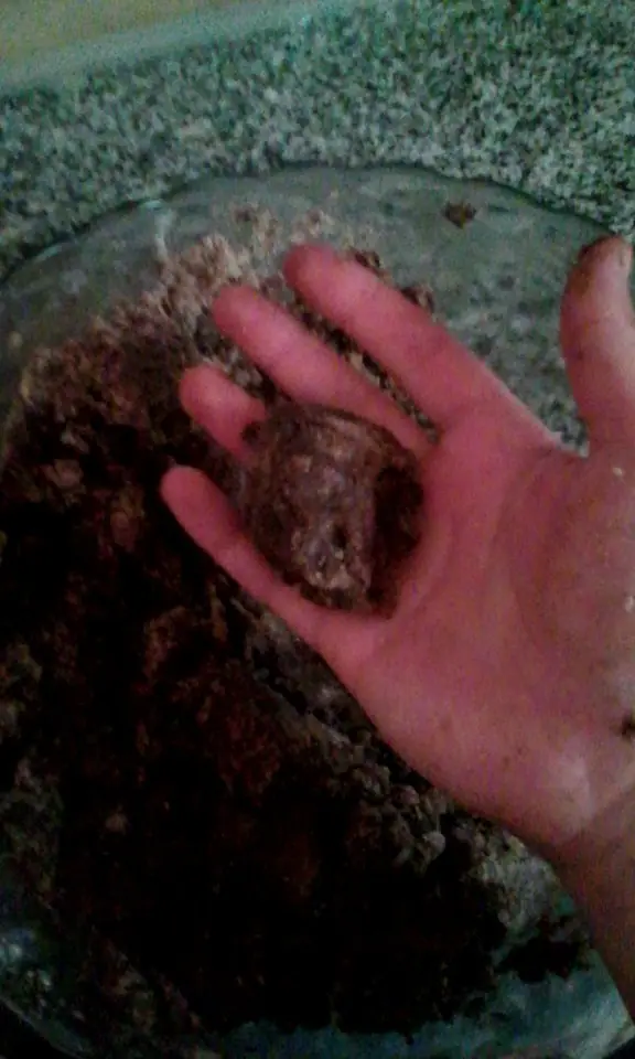 Trufas orgánicas chulas(?