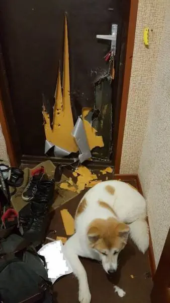 Fotos re locas que tenes que ver parte 192