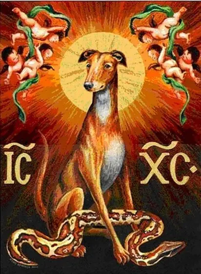 Las Historias más locas y curiosas de Animales