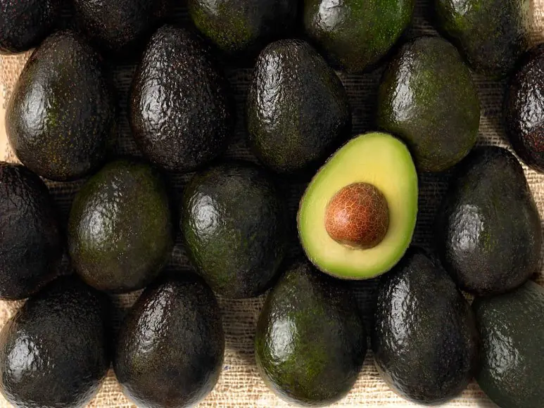 Jamás volverás a tirar la semilla del aguacate a la basura