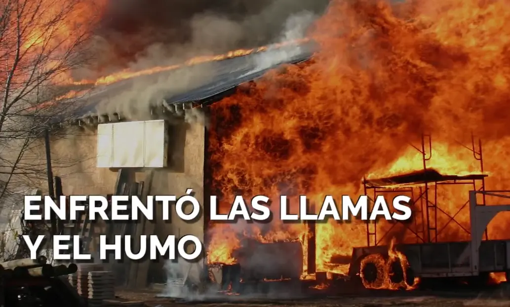 perro salva a sus hijos