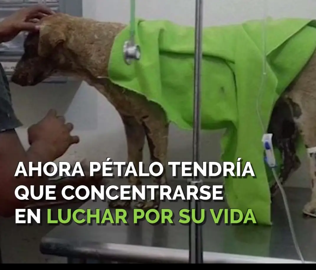 Historia mas triste