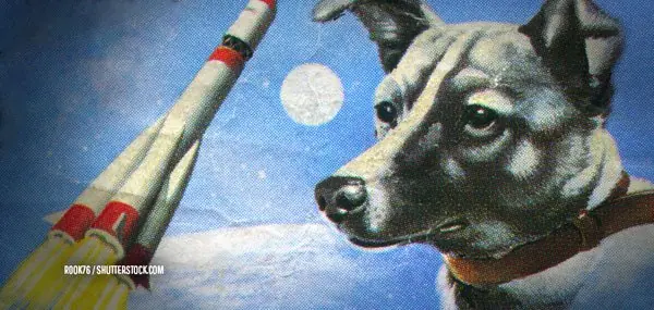 5 Cosas que no te contaron sobre Laika el perro astronauta