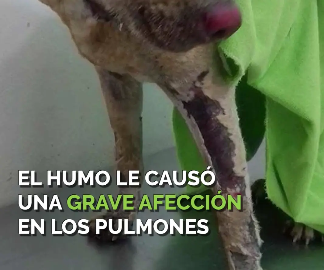 internet triste