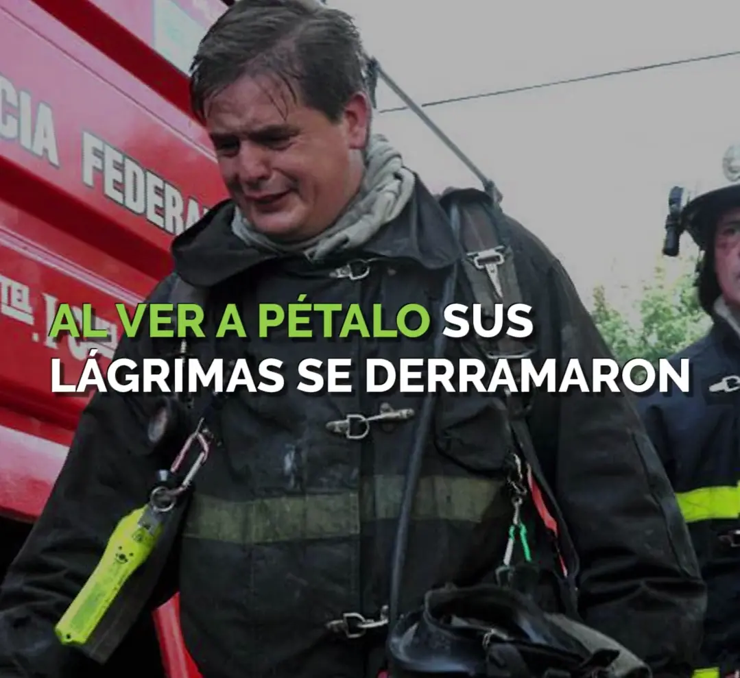 perro muere