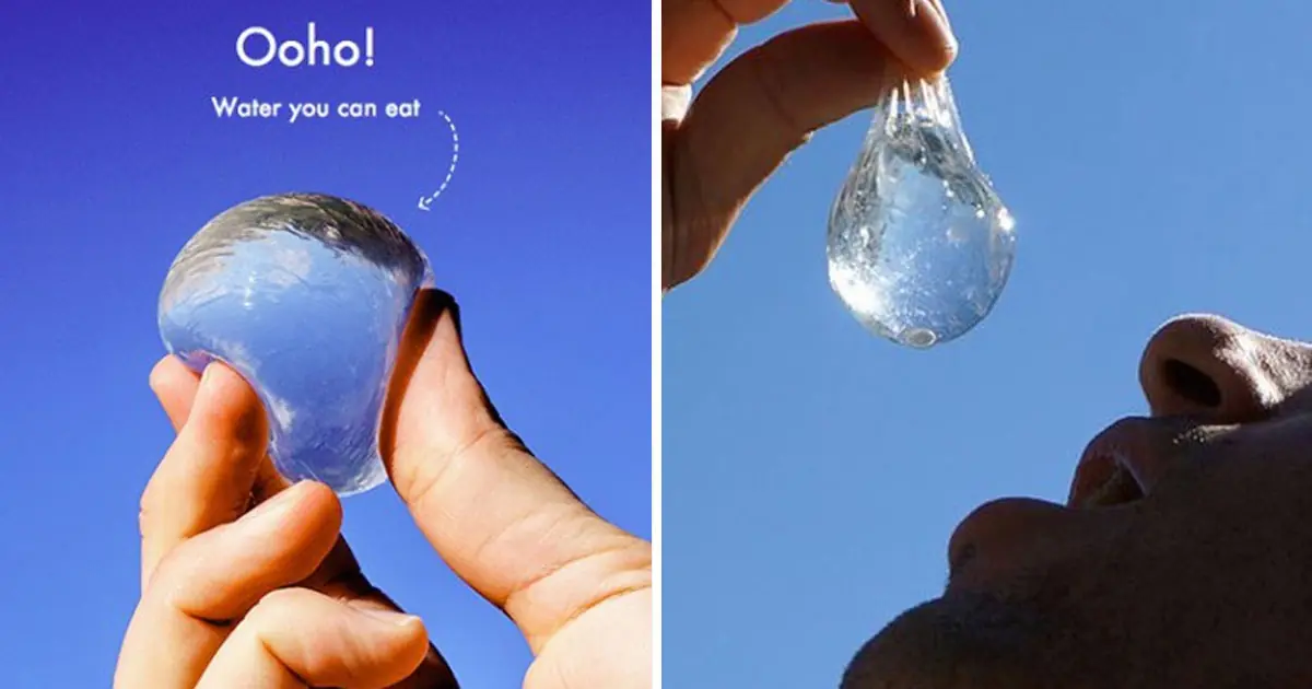 capsulas comestibles
