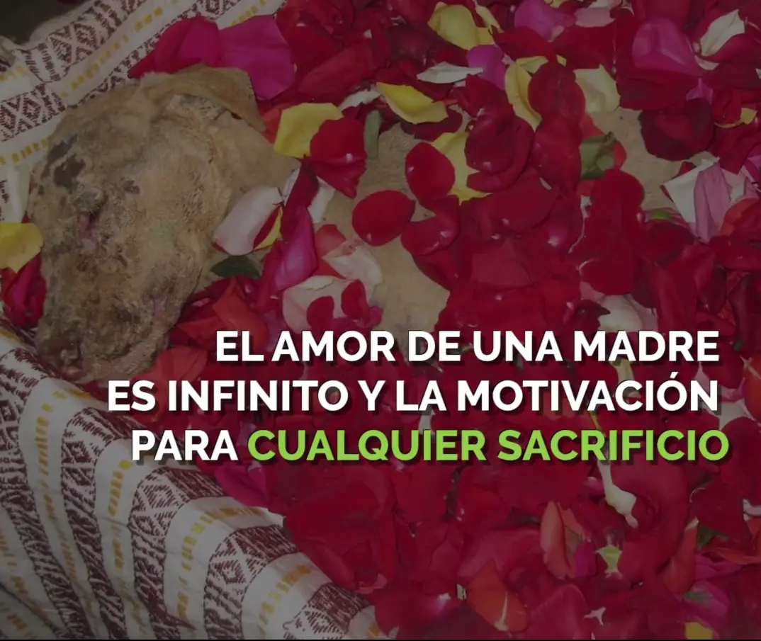 La Historia mas triste de internet