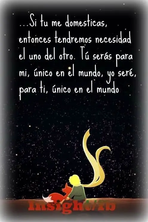 frases frases