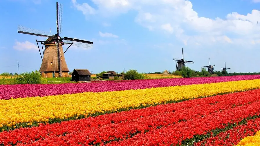 Holanda Holanda