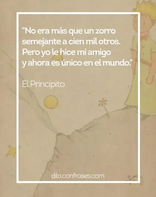 frases frases