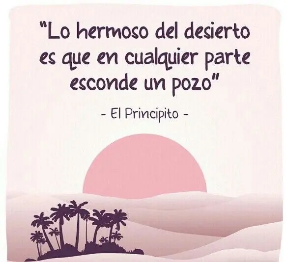 citas citas