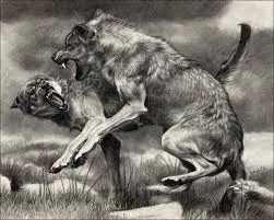 lobos