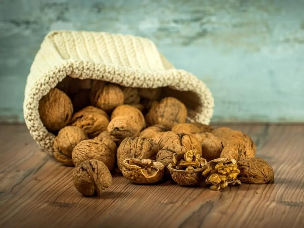 Alimentos cotidianos