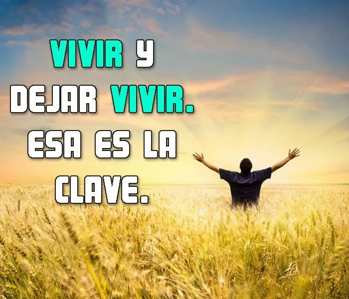 usuarios usuarios