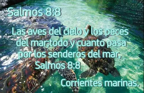 hechos