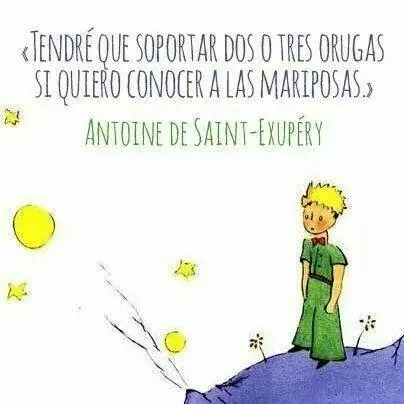 libros libros