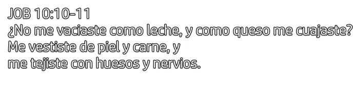 cientificos