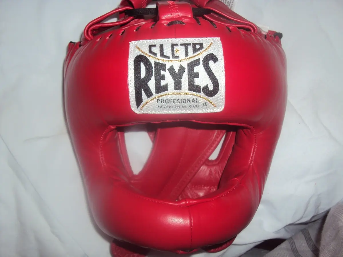 pugilistica