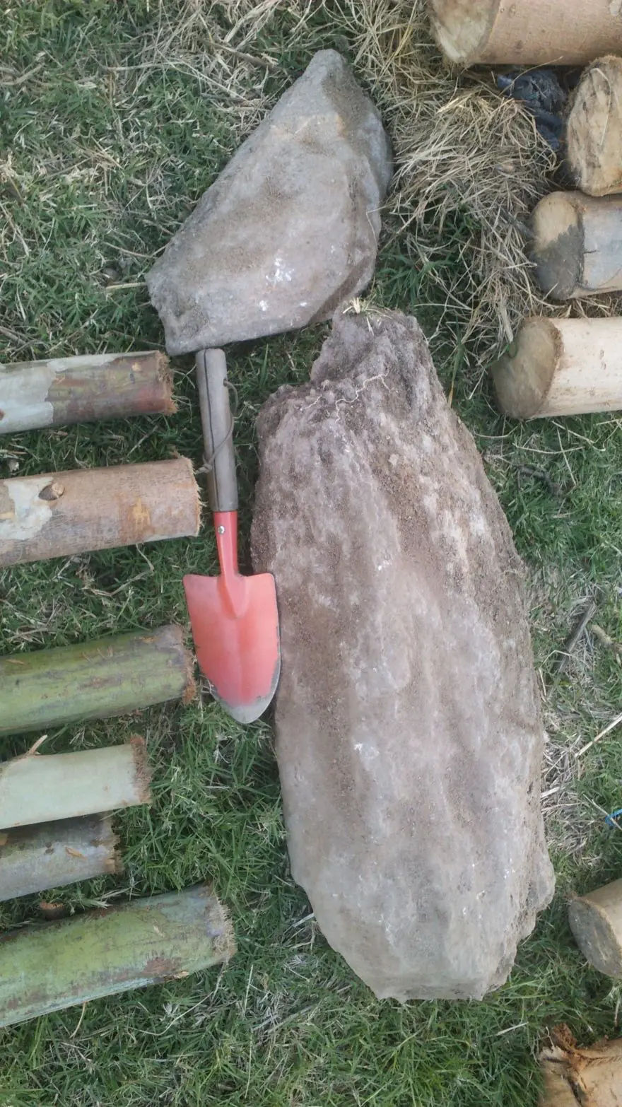 Invernáculo casero, en el fondo de mi casa.