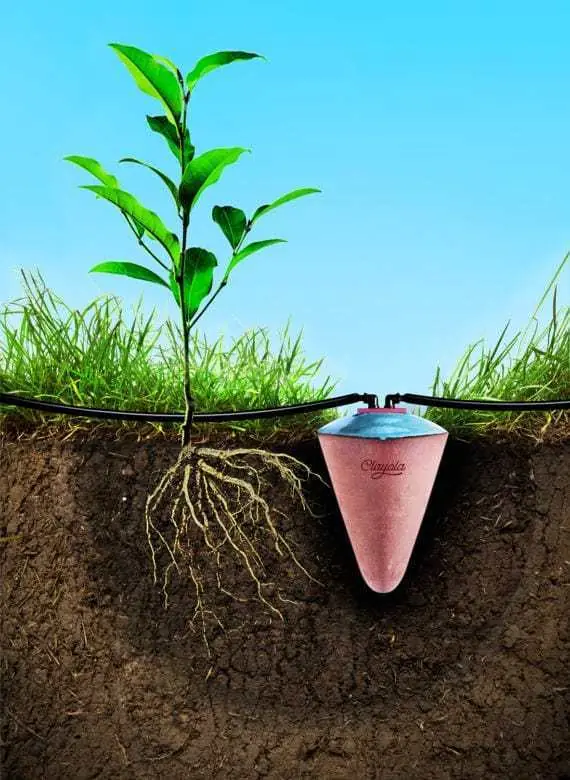 Regar plantas durante un mes con antigua cerámica egipcia